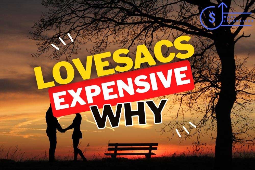 why are lovesacs so expensive