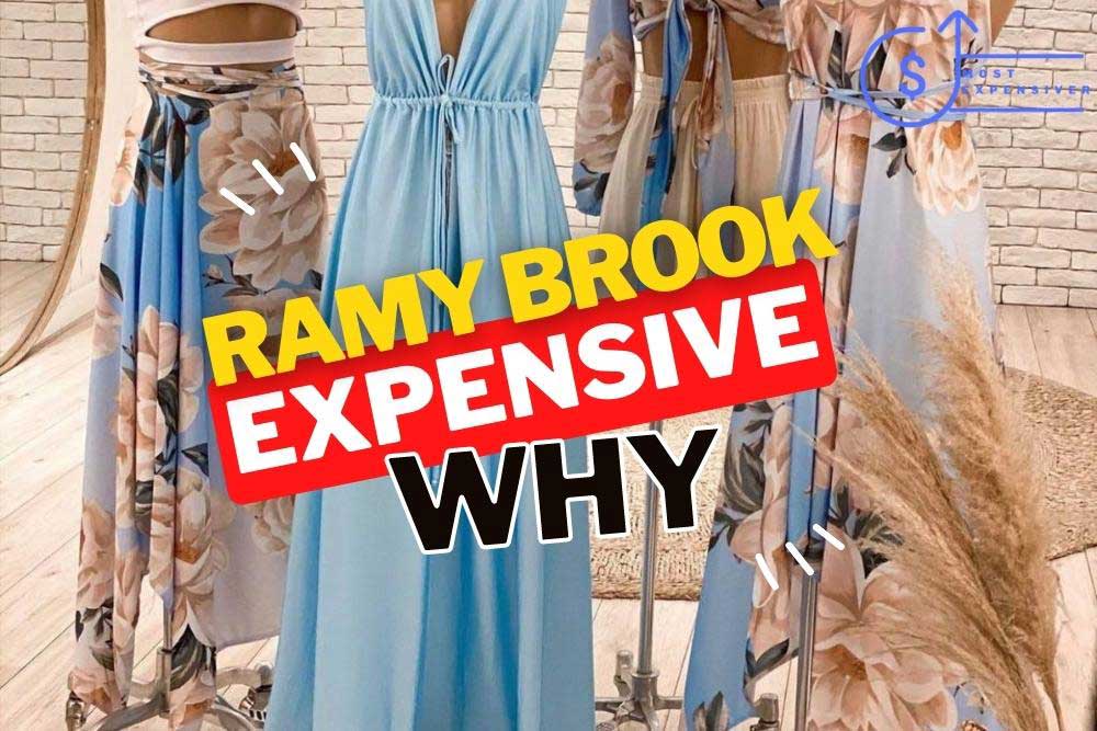 is ramy brook so expensive