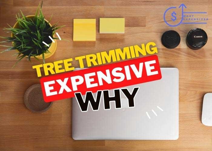 are macbooks so expensive