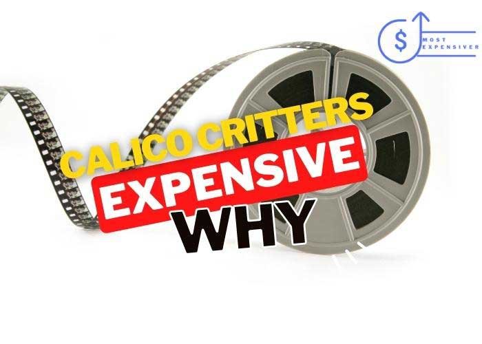 are view-master reels so expensive