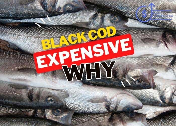 is black cod so expensive