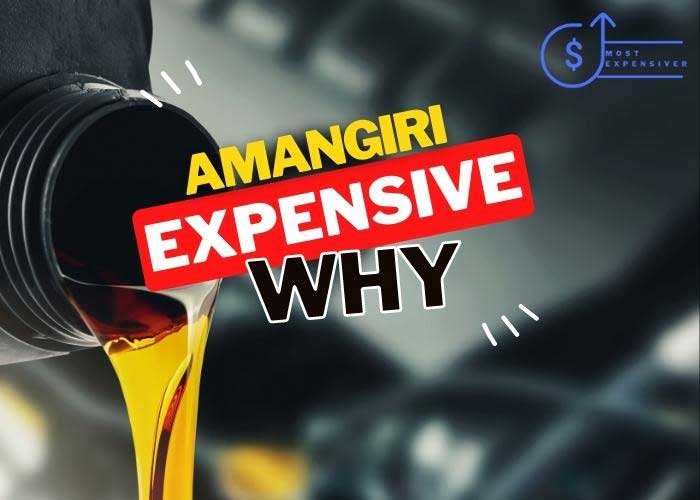 is take 5 oil change so expensive