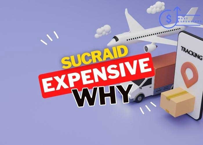 is west elm shipping so expensive