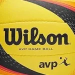 Most Popular 10 Most Expensive Volleyball