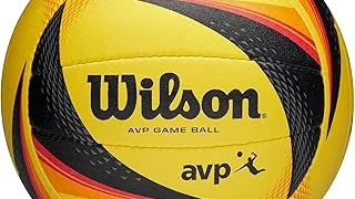 Most Popular 10 Most Expensive Volleyball