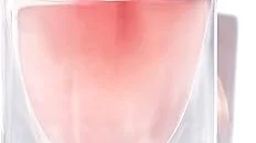 Top 10 best Expensive Perfume For Womens to buy