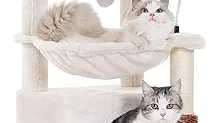 Top 10 best Most Expensive Cat Trees to buy