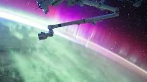 Top 10 best Most Expensive Eggs Memes review