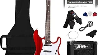 Top 10 best Most Expensive Electric Guitars