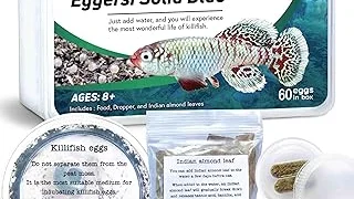 Top 10 best Most Expensive Fish Eggss to buy