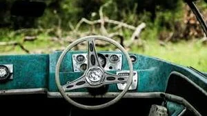 Top 10 best Most Expensive Fruitss review