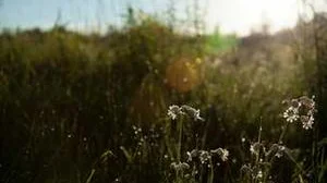 Top 10 best Most Expensive Kitchen Setss to buy