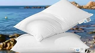 Top 10 best Most Expensive Pillows review
