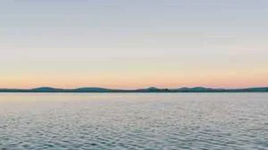 Top 10 best Most Expensive Rarest Hot Wheelss review