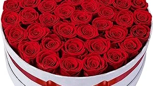 Top 10 best Most Expensive Rosess review