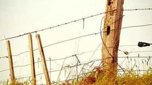 Top 10 best Most Expensive Salts review