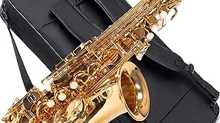 Top 10 best Most Expensive Saxophones review