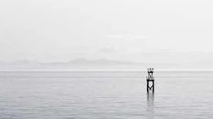 Top 10 best Most Expensive Sono Bellos