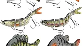 Top 10 best Most Expensive Swimbaits to buy