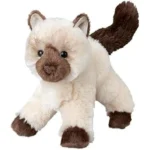 The image shows a luxurious Persian Himalayan cat, the most expensive breed.