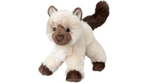 The image shows a luxurious Persian Himalayan cat, the most expensive breed.