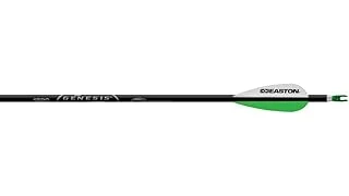 The image shows a selection of finely crafted arrows, hinting at the most expensive options.