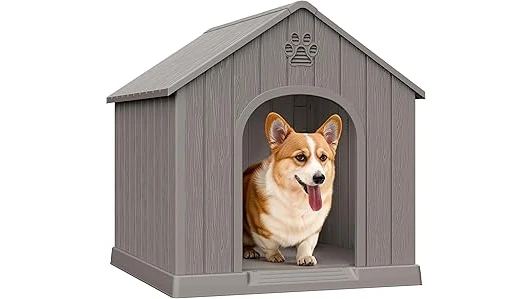 Top 10 Most Expensive Dog House