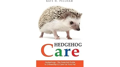 The image shows a fluffy, adorable hedgehog, perhaps one of the most expensive.