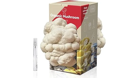 The image shows a rare, expensive mushroom, highlighting top choices for home cultivation.
