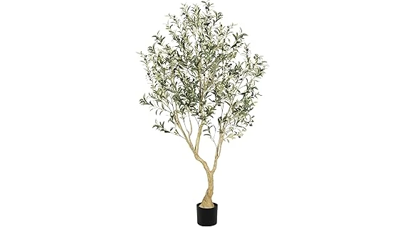 Top 10 Most Expensive Olive Wood
