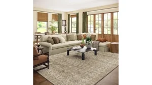 The image shows a luxurious, intricately patterned Persian rug in a well-decorated living room setting.