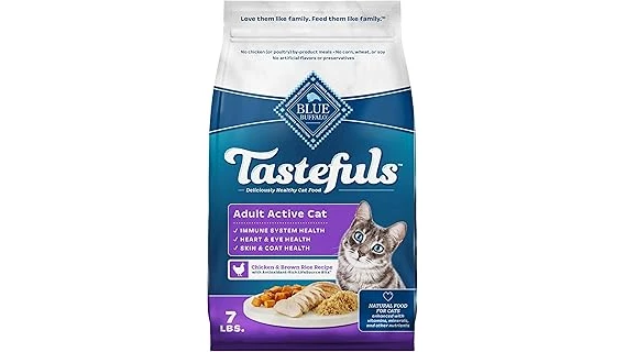The image shows a collection of small, premium cat food cans arranged artistically, hinting at the top 10 most expensive smalls cat food list.