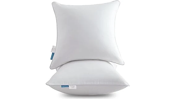 The image shows a luxurious patterned throw pillow, likely one of the most expensive on display.