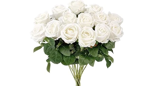 Top 10 Most Expensive White Roses