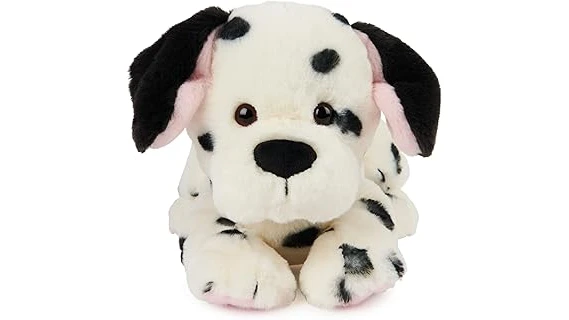 This image shows a beautiful Dalmatian dog, highlighting the breed's unique charm.
